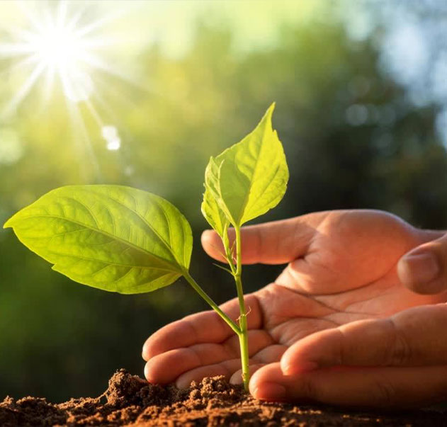 জিয়াংসু শিক্সিন আঠালো টেপ পণ্য কোং, লিমিটেড