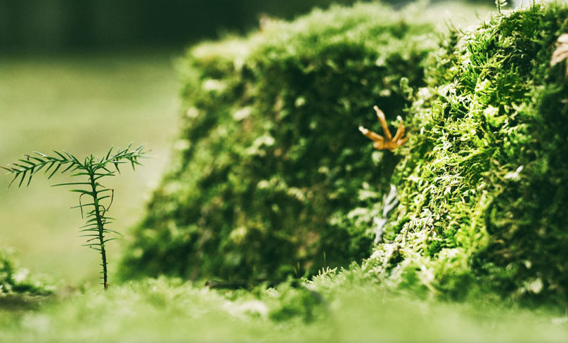 জিয়াংসু শিক্সিন আঠালো টেপ পণ্য কোং, লিমিটেড
